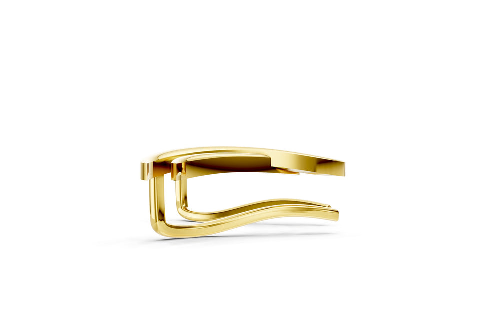 Golden Wings Earrings
