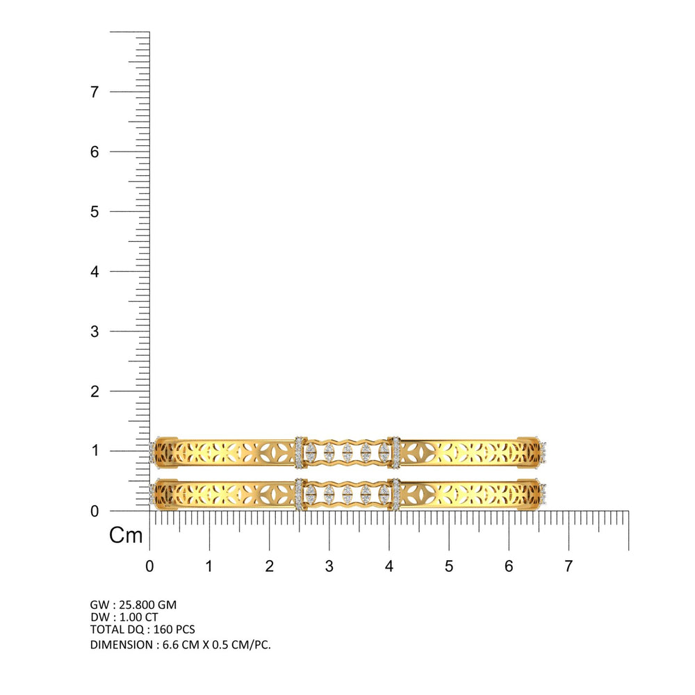 Eterna Floral Spark Bangles