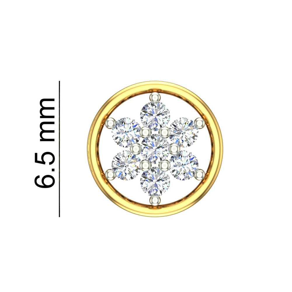 The Snowflake Halo